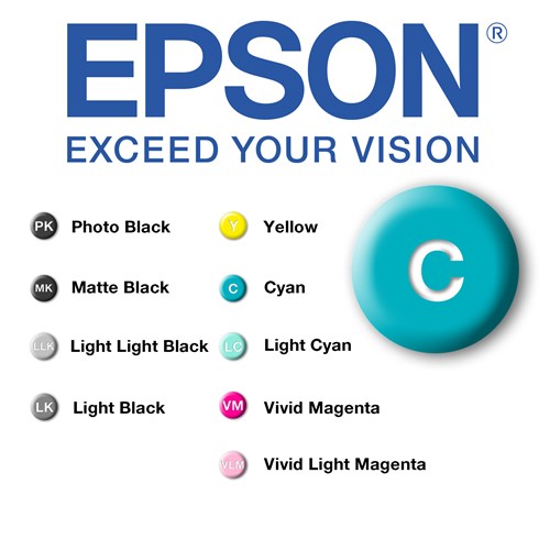 Epson C P800